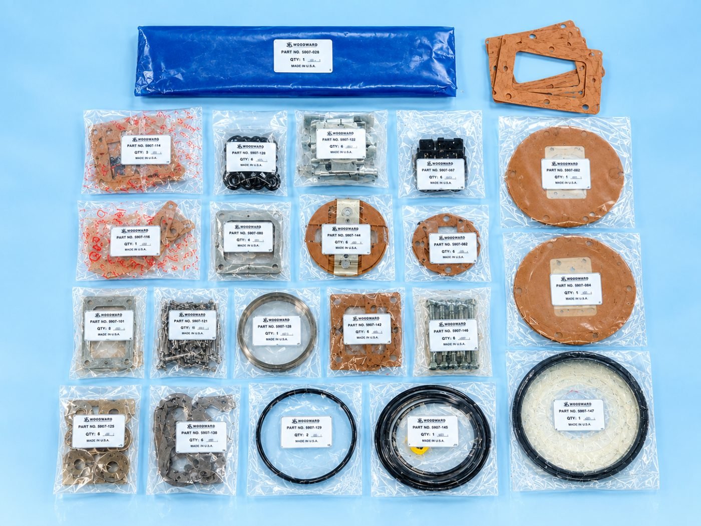Woodward Engine Gasket and Seal Parts Kit